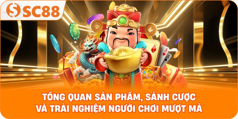 Giới Thiệu Về SC888 - Đối tượng người chơi mà SC888 hướng tới Giới Thiệu Về SC888 - Đối tượng người chơi mà SC888 hướng tới